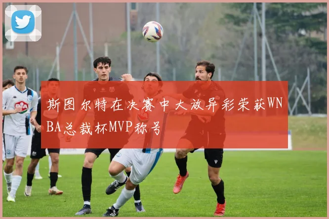 斯图尔特在决赛中大放异彩荣获WNBA总裁杯MVP称号